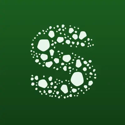 Серебро Поноя